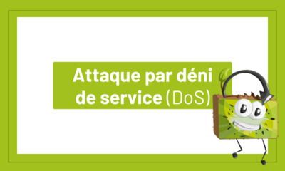 Attaque par déni de service (DoS)