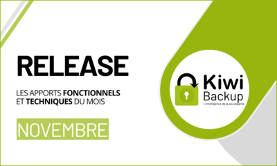 release novembre 2024