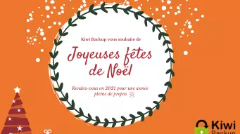 miniature-voeux noel kiwi backup