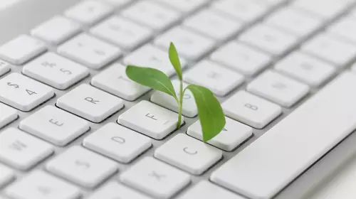 clavier-petite-plante