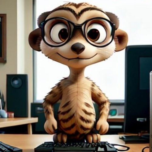 suricate suricate