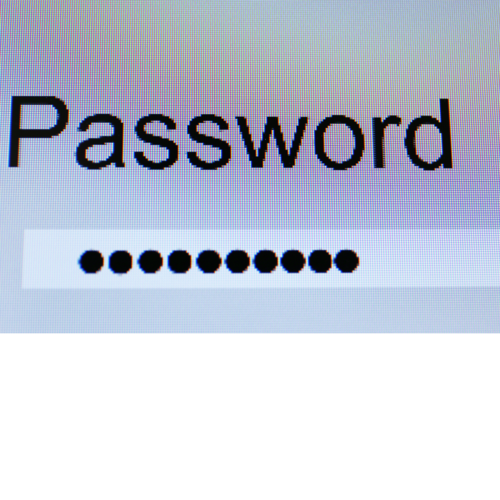 journee_mondiale_du_mdp journee_mondiale_du_mdp