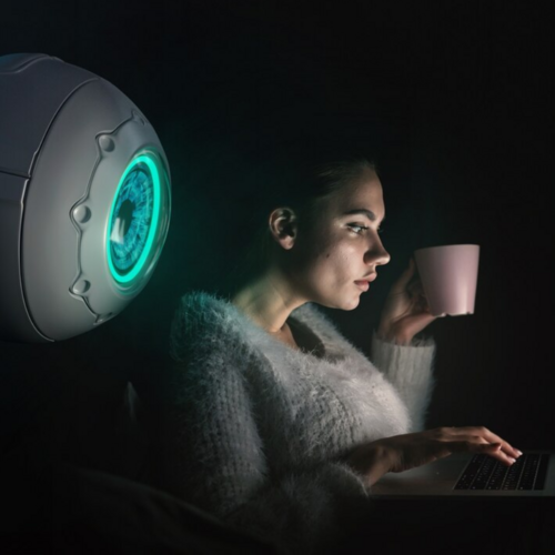 Article webcam Article webcam