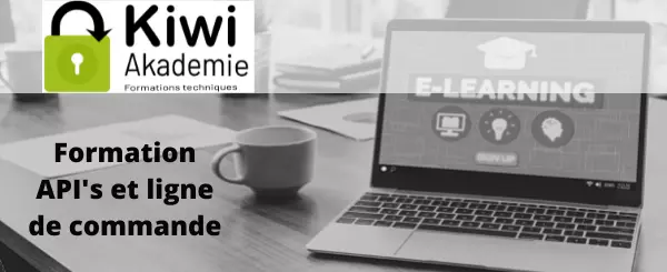 Formation API Kiwi Backup